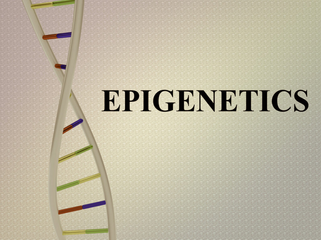 epigenetik